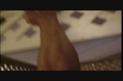Captura de 'Dirty Debutantes 173' nº 126