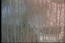 'Lactamania 3' screenshot nº 14