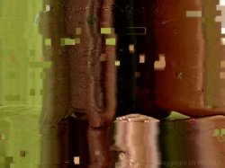 'Rim Jobbers' screenshot nº 64