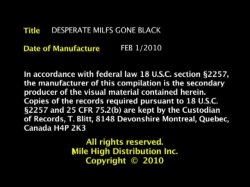 Captura de 'Desperate Milfs Gone Black' nº 1