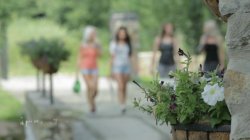 'Gardeners' screenshot nº 1