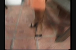 Captura de 'Ben Dover's London Call Girls' nº 120