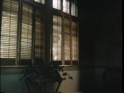 'Society Affairs' screenshot nº 38