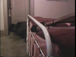 'Society Affairs' screenshot nº 49