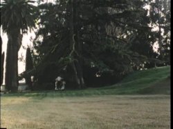 'Society Affairs' screenshot nº 100