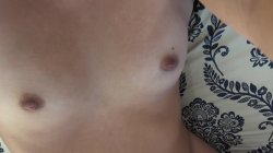 'POV Creampie Fantasies' screenshot nº 51