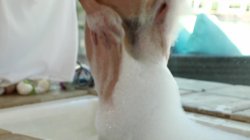 Captura de 'Darcie Dolce's Squirting Stepsisters' nº 64