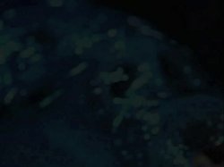 'Dominatrix' screenshot nº 80