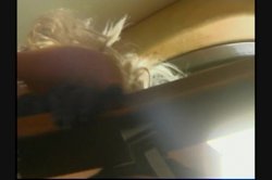 'Fem Aria' screenshot nº 39