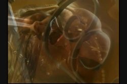 'Fem Aria' screenshot nº 46