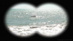 'This Ain't Jaws XXX (2D Version)' screenshot nº 58