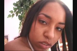 Captura de 'Hot Latin Pussy Adventures 14' nº 137