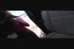 Captura de 'Gina's Filthy Hos 4' nº 125