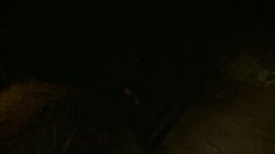 Captura de 'Blow' nº 2