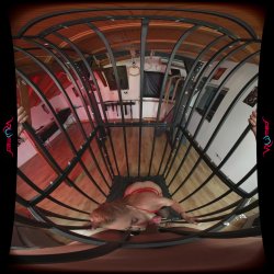 'Cage Me and Fuck Me' screenshot nº 58