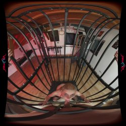'Cage Me and Fuck Me' screenshot nº 60