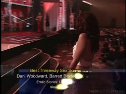 Captura de '2005 AVN Awards Show, The' nº 20