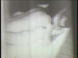 'Loose Morals' screenshot nº 95