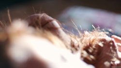 Captura de 'Wanderlust' nº 31