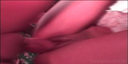 'Daisey: I'm In Charge' screenshot nº 21