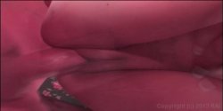 'Daisey: I'm In Charge' screenshot nº 1