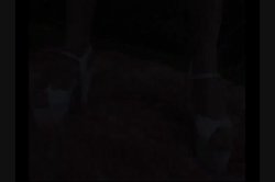 'Cum Swallowing Whores 2' screenshot nº 44