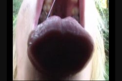 'Cum Swallowing Whores 2' screenshot nº 64