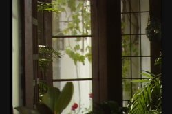 Captura de 'Goin' Down Slow' nº 67