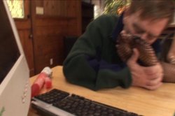 Captura de 'White Men Love Black Milfs' nº 124