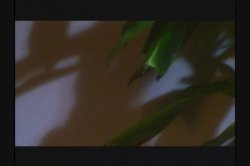Captura de 'Last Man Standing' nº 13