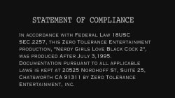 'Nerdy Girls Love Black Cock 2' screenshot nº 1