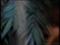 'Vampirass' screenshot nº 42