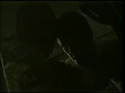 Captura de 'King Of Black Cock - Just Another Cock Victim' nº 8