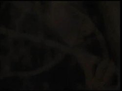 Captura de 'King Of Black Cock - Just Another Cock Victim' nº 1