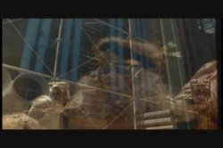 Captura de 'Hot Stuff' nº 101