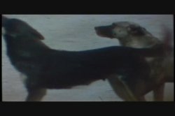 Captura de 'Hot Stuff' nº 16