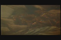 Captura de 'Hot Stuff' nº 25