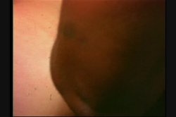 Captura de 'Perverted Stories 3' nº 64