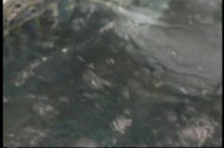 'Desiree' screenshot nº 81