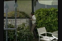 'Slick Honey' screenshot nº 72