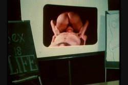 Captura de 'Dallas School Girls' nº 61