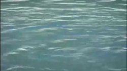 'Poolside Kombat - Misty Knights Vs. Taylor St. Claire' screenshot nº 1