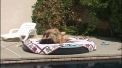 'Poolside Kombat - Misty Knights Vs. Taylor St. Claire' screenshot nº 32