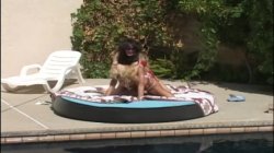 'Poolside Kombat - Misty Knights Vs. Taylor St. Claire' screenshot nº 51
