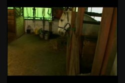 'Anal Seduction 2' screenshot nº 11