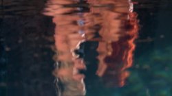 Captura de 'When the Boyz Are Away the Pets Will Play' nº 37