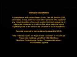 'Intimate Secretaries' screenshot nº 1