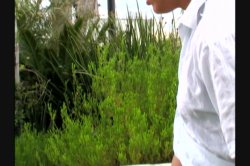 'Ass Up Face Down' screenshot nº 23