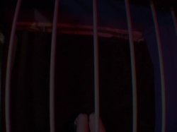 'Born Whores 2' screenshot nº 125