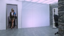 'Executive Assistant' screenshot nº 121